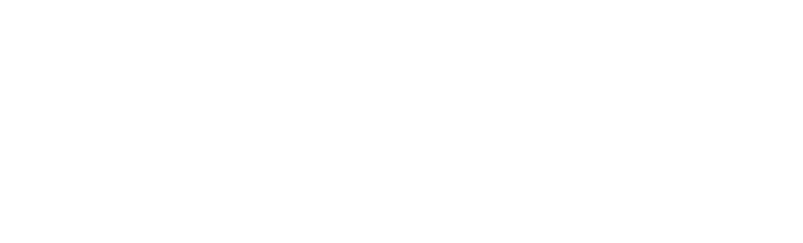 Ritex Group
